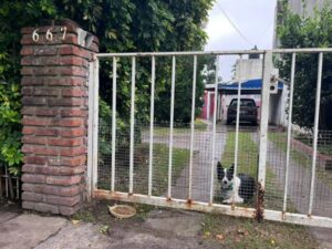 La víctima fue hallada en un galpón de herramientas, tirada en un charco de sangre