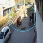 Cámaras y alarmas no parecen ser suficientes