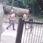 Las cámaras registran los delitos, pero "no pasa nada", se quejan los vecinos