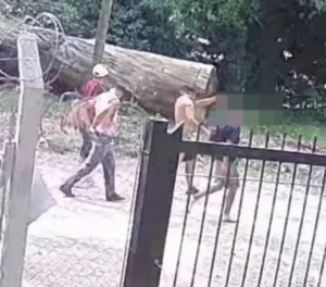 Las cámaras registran los delitos, pero "no pasa nada", se quejan los vecinos